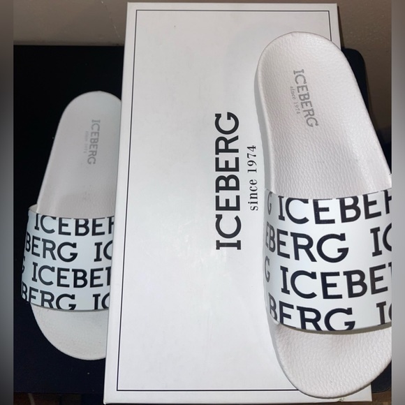 Iceberg Slides - Picture 2 of 6